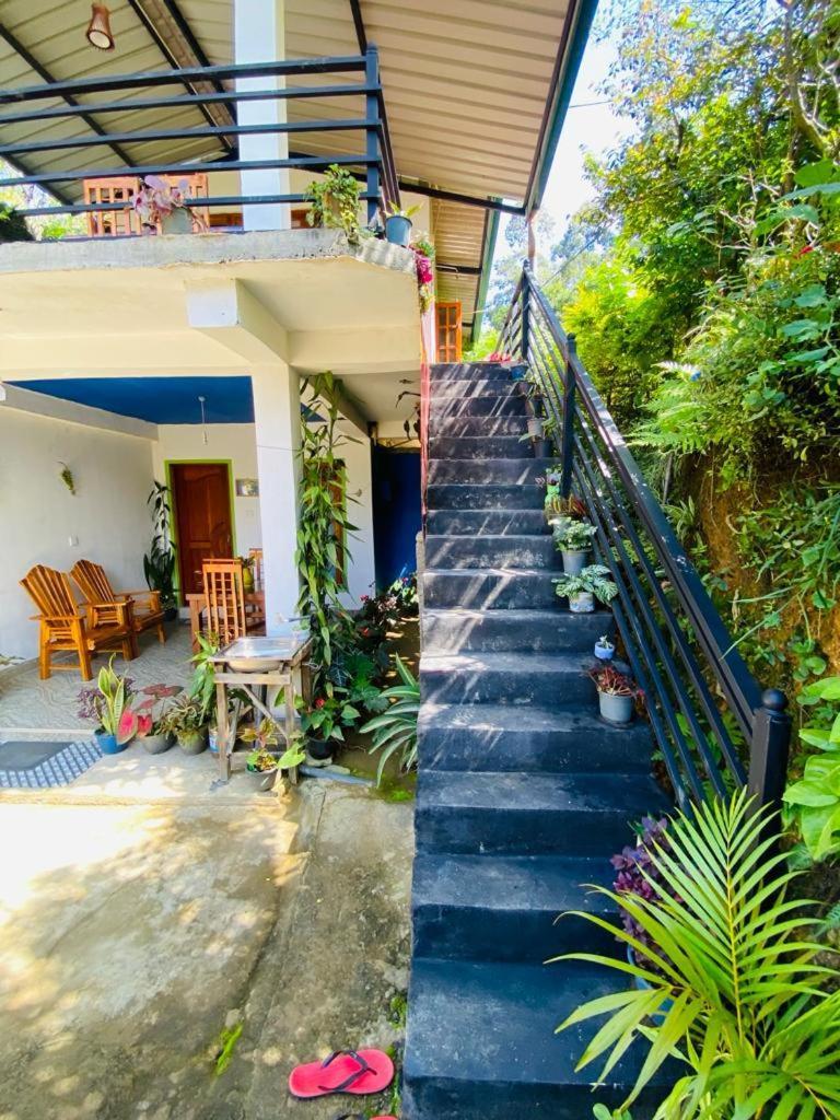 Mellow Homestay Ella Exterior photo