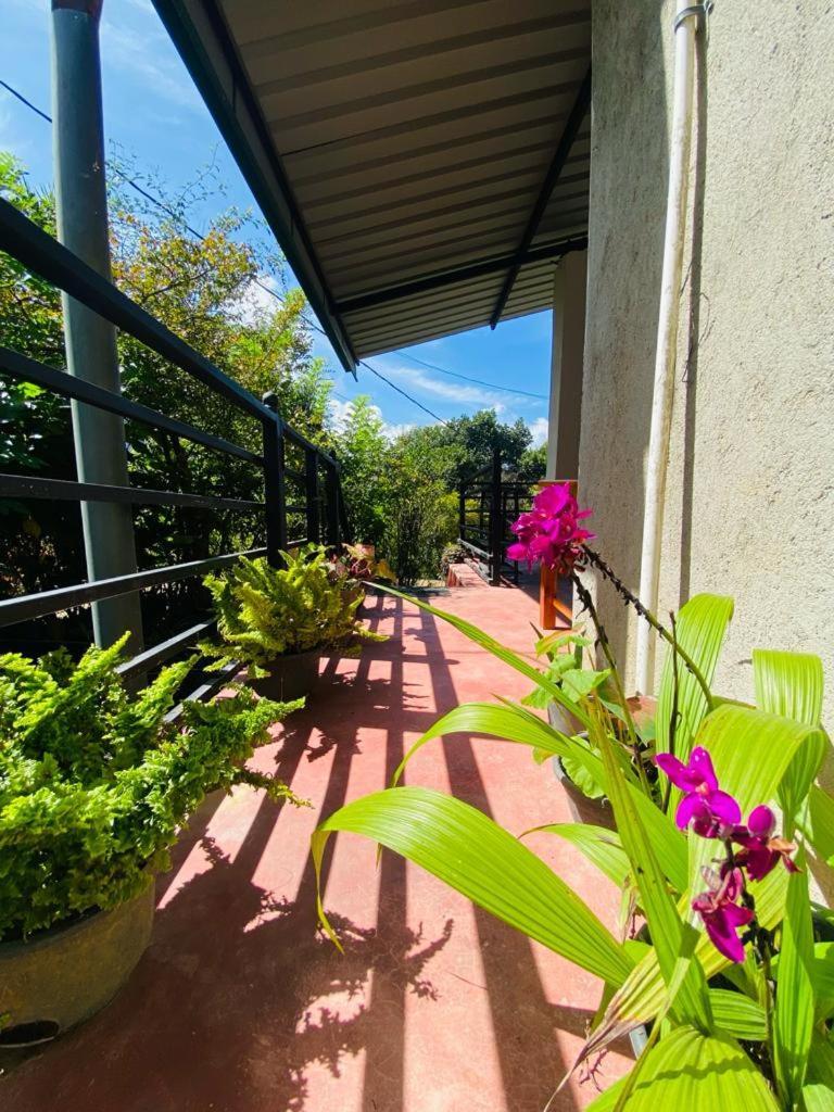 Mellow Homestay Ella Exterior photo